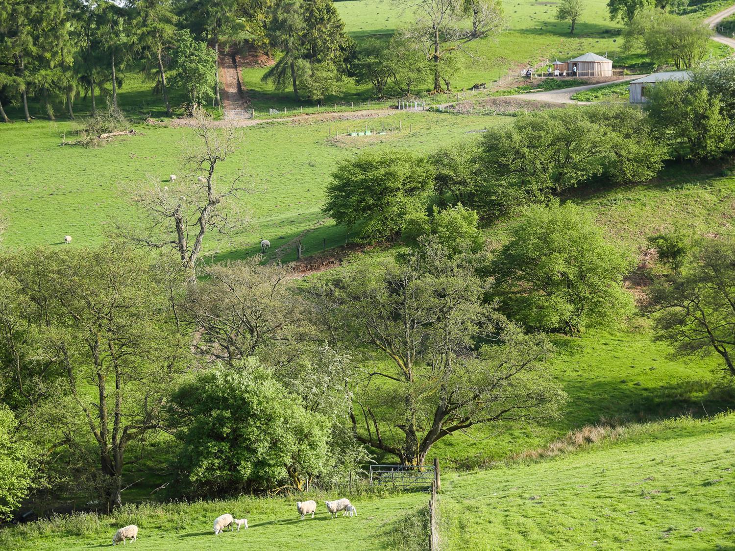 Rolling Hills Villa Newcastle  Buitenkant foto
