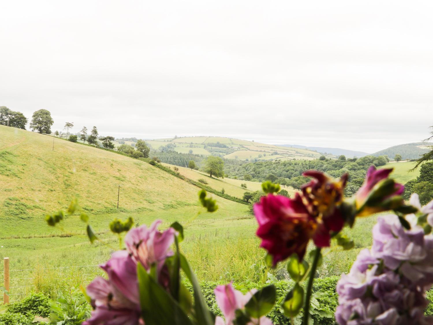 Rolling Hills Villa Newcastle  Buitenkant foto